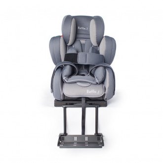 Детское автомобильное кресло ДЦП LIWCare Baffin.1 в 