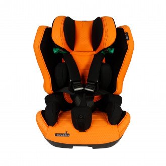 Детское автомобильное кресло ДЦП Thomashilfen RECARO Axion 1 Reha в 