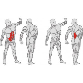 Тренажёр механотерапевтический для мышц пресса и спины Hur Rehabilitation 5310 в 