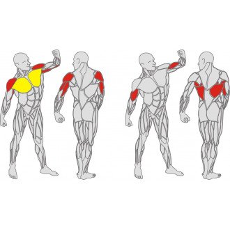 Тренажёр механотерапевтический для мышц груди, спины и рук Hur Rehabilitation 5120 в 