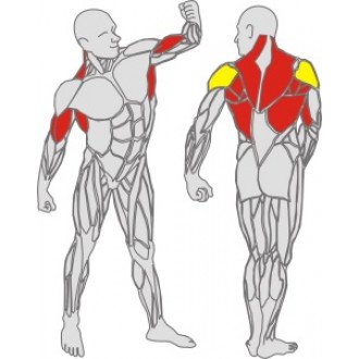 Тренажёр механотерапевтический для рук и спины Hur Rehabilitation 5175 в 