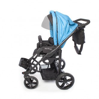 Детская прогулочная коляска ДЦП LIWCare Modi Buggy в 